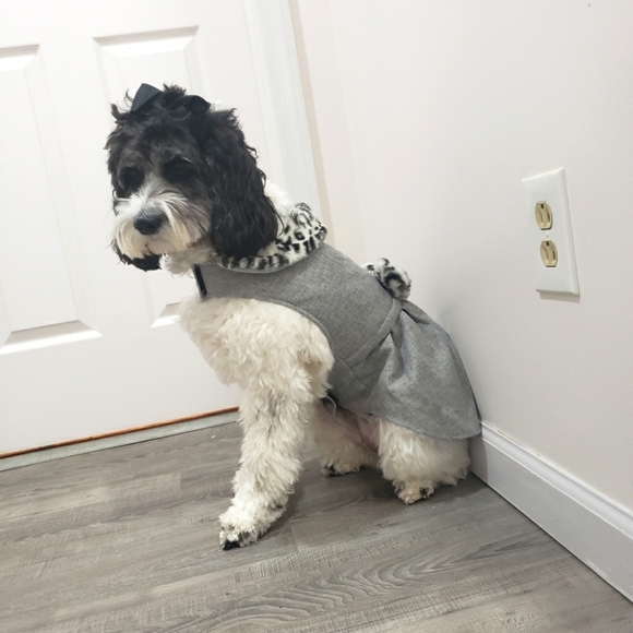 1839- Friends Forever Dog Dress Faux Fur NWT - Picture 1 of 12